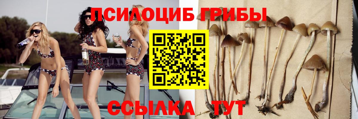 Псилоцибиновые грибы GOLDEN TEACHER Углич
